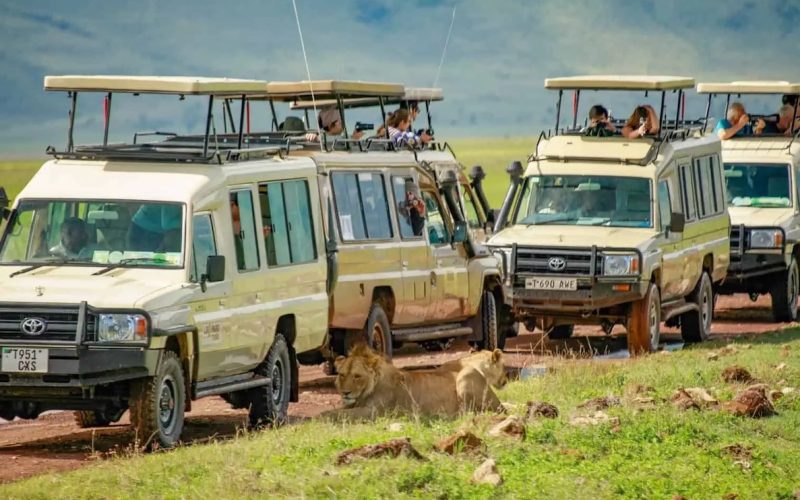 Ngorongoro