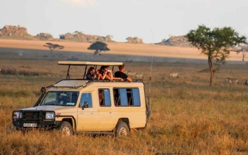 game drive