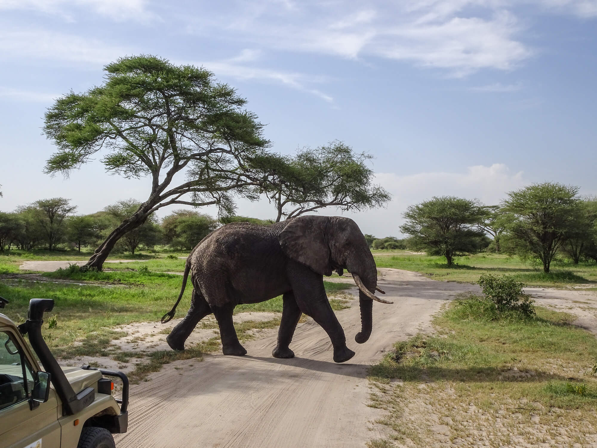 tarangire national park 3